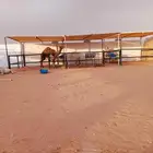 مضلات حلال مصلات مواقف سيارات اجلت ابل مشبات خيام