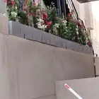 تنسيق حدائق