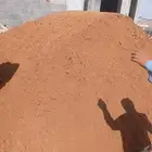 رمل الفريش رمل مغسول تربه زراعيه