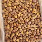 للبيع تمر رشوديه