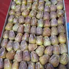مطلوب رطب سكري كميه كبيره