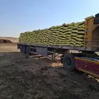 سماد بقري معالج حراري كومبست