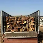 سمر حملة دنا وشاص