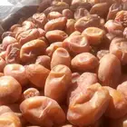 سلام عليكم اليوم عندنا اتمر حبه طيبة وفخخر الموقع القرنه ساج