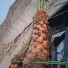 جيزان ونجران