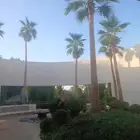 عمال نخل الواشنطني