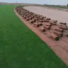 ثيل طبيعي سي2000