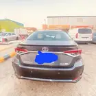 كورولا 2024