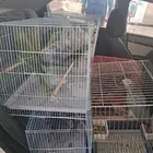 موصل طيور حيوانات اليفه أمانات