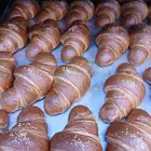 كرواسوان ام فيصل جدة