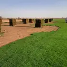 تيل طبيعي C2000
