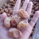تمر اخلاص ن الموسم الحالي البيع الموقع القرنه