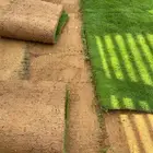 ثيل انتراو فرنسي وسى 2000 دراجه اوالى