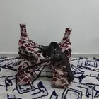 شداد للبيع