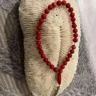 سبحة مرجان اصل مشروط