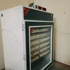 فقاسة1056فل تماتيك