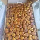 تمر رطاب سكري