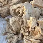 عجين علف حلال
