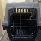 مواشي