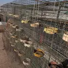 محاكر حمام حديد