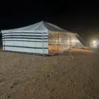 بيت شعرة جميع مكاست