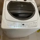 القطيف