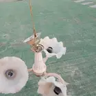 نجفه موجود 5