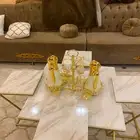 ثلاجات قهوه معا حامله ذهبية