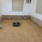 شقة مفروشة خمس غرف للايجار شهر 2