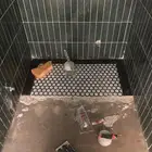 مبلط باكستانى