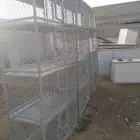 اقفاص للبيع