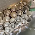 حمام فرنسي مفروز