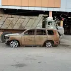 فكسار محروق اوراقه سليمه