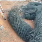 شبك مغلف اخضر