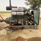 مكينه فلفو