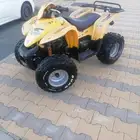 دباب