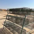 بطريات ارانب