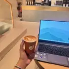 مطلوب شقه للإيجار