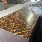 خشب بليويت الأخضر والبني