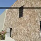 حجر وجه الجبل