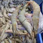 روبيان وسمك