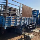 صندوق ديانه طويل