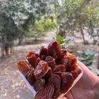 لمنتجات تمور خلاص وشيشي ويدوي دبس خلاص وشيشي يدوي و مصنع