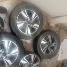 جنوط النترا