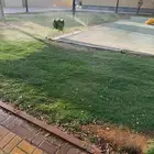 طير دره هدد خارجي وداخلي طيران حر