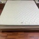 مرتبة طبية نفرين