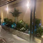 تنسيق الحدائق المنزلية شجر