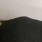 بذور ملوخيه جديد