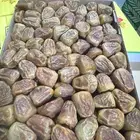 مفتل سكري بسعر طيب
