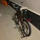 سيكل جديد